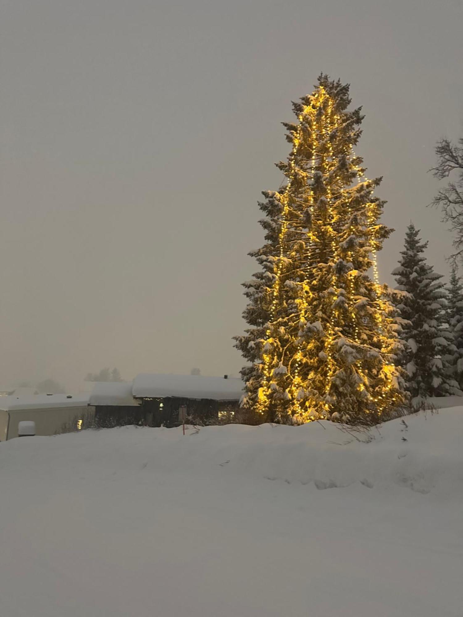 Koselig Byleilighet Sor I Sentrum Av Tromso. Esterno foto